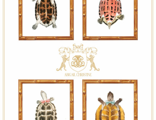 The Love List: Dapper Tortoise